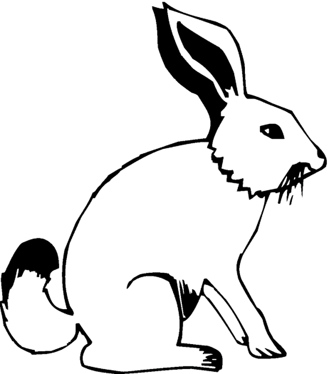 Hare Grassland Animal Coloring Page