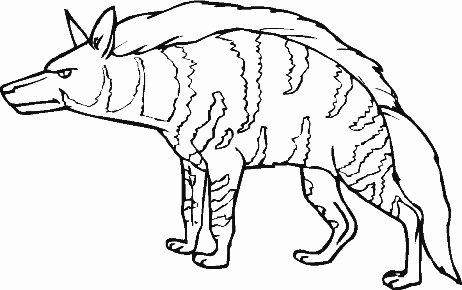 Hyena Grassland Animal Coloring Page