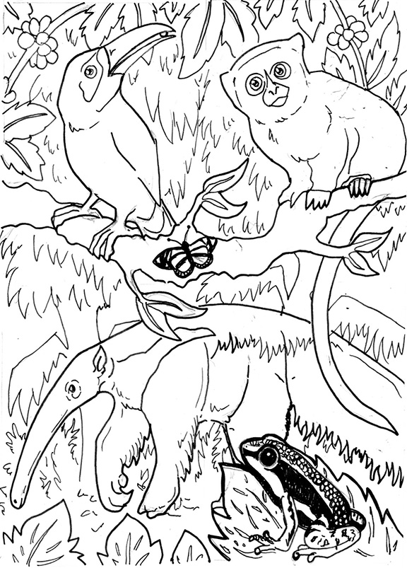 Rain Forest Animals Coloring Page