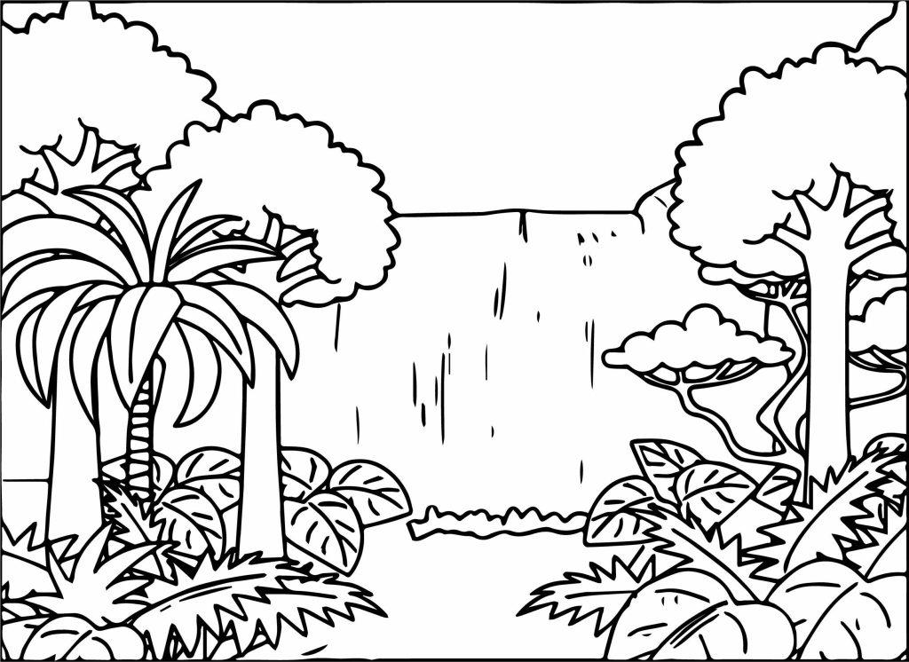 Rain Forest Coloring Page