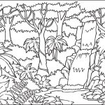 Rain Forest Coloring Pages