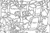 Rain Forest Coloring Pages