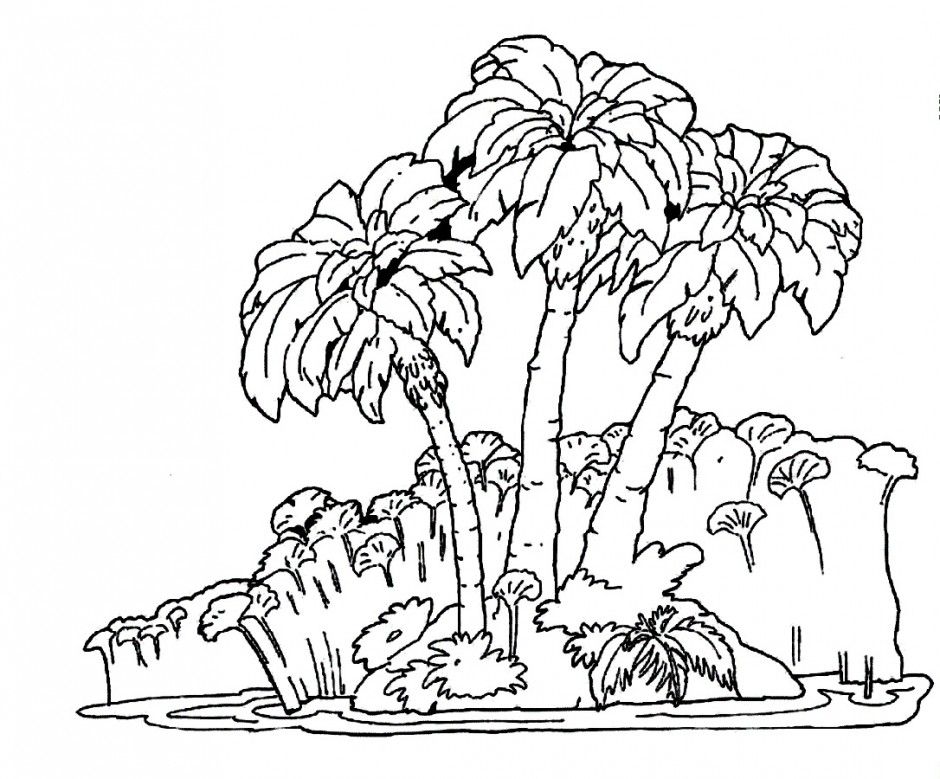 Rainforest Printable Coloring Page