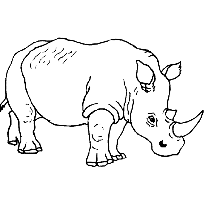 Rhinoceros Grassland Animal Coloring Page