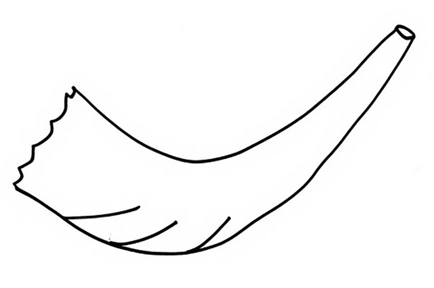 Shofar Horn Coloring Page