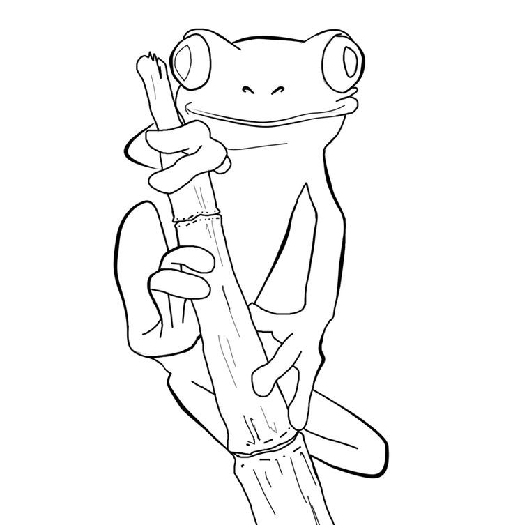 Tree Frog Coloring Page