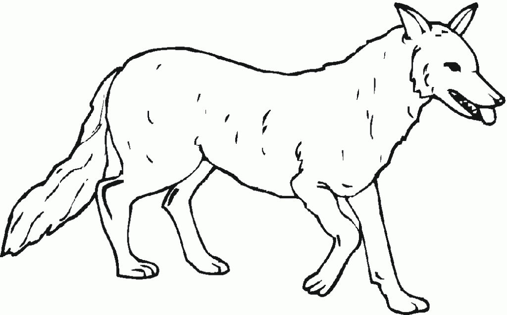 Wolf Grassland Animal Coloring Page