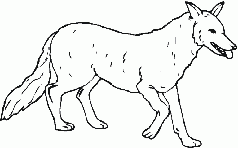 Grasslands Coloring Pages - Best Coloring Pages For Kids