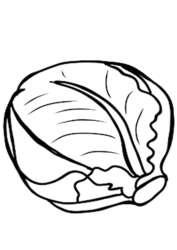 Brussels Sprout Coloring Page