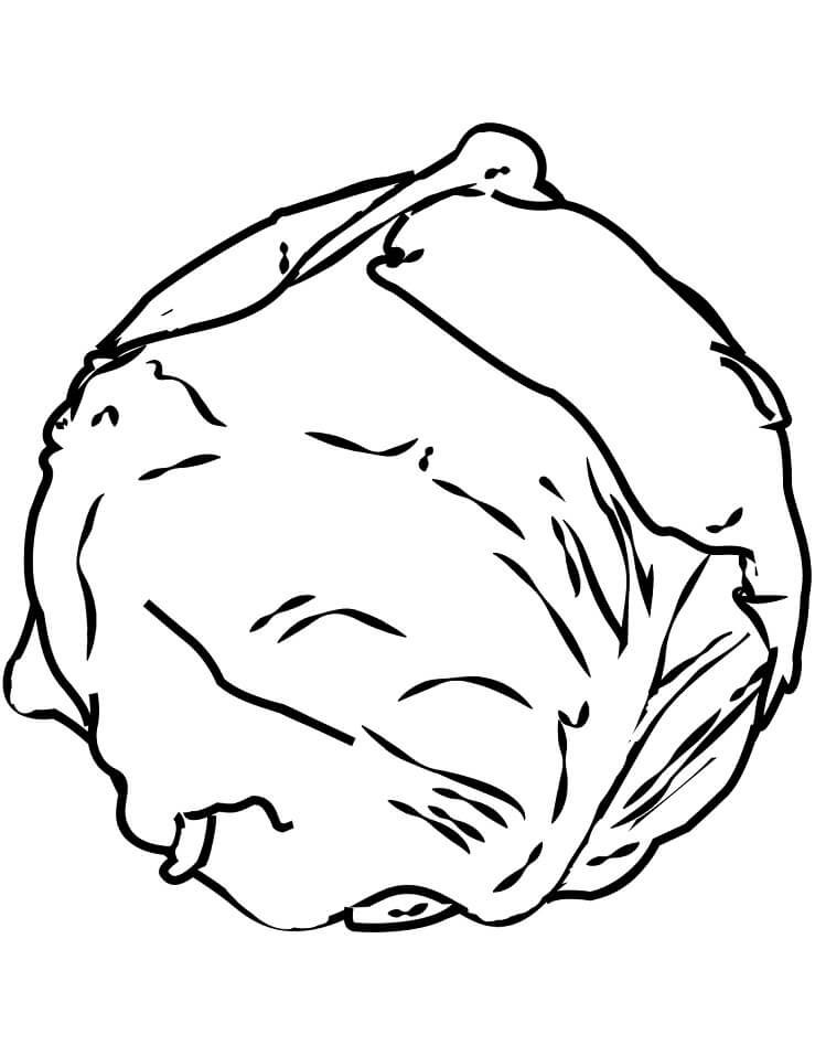 Brussels Sprouts Coloring Pages