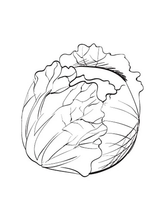 Detailed Brussels Sprout Coloring Page
