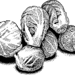 Pile Of Brussels Sprouts Coloring Page