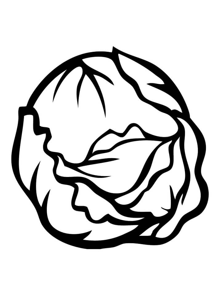 Single Brussel Sprout Coloring Page