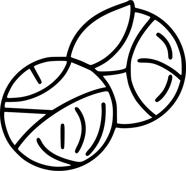 Two Brussel Sprouts Coloring Page
