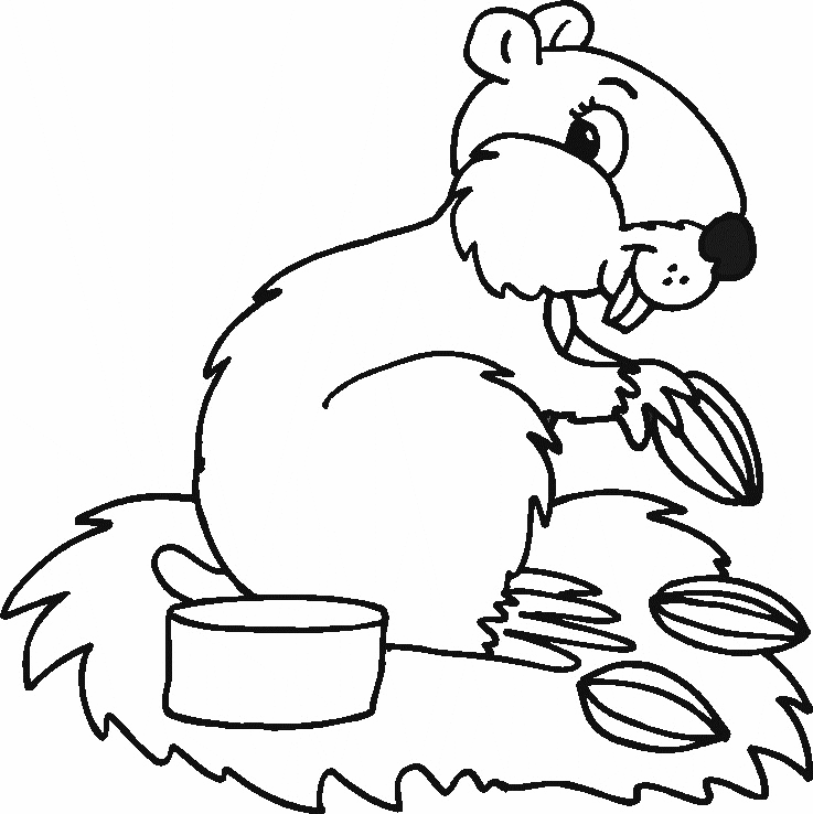 Squirrel Wildlife Coloring Page