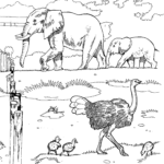 Wildlife Coloring Pages