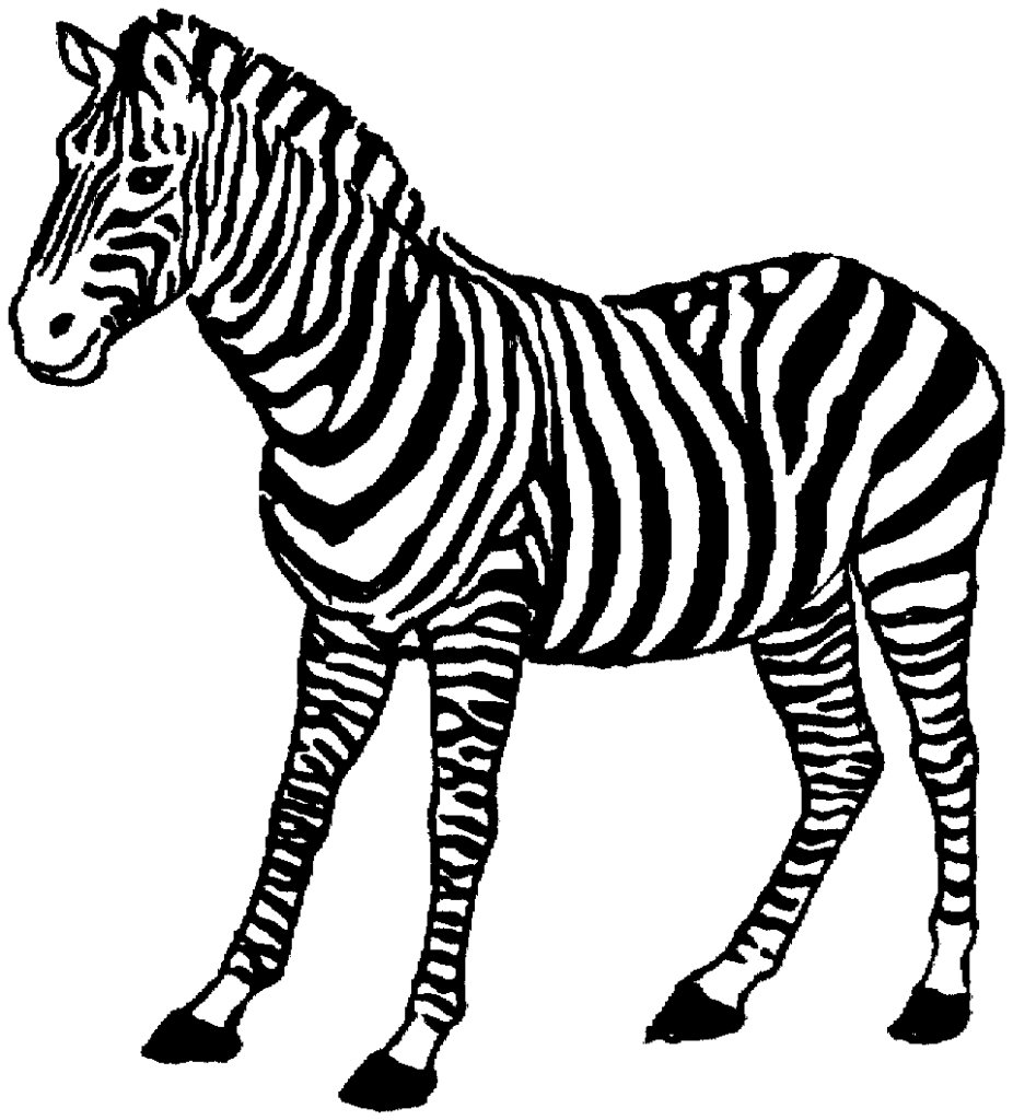 Zebra Wildlife Coloring Page