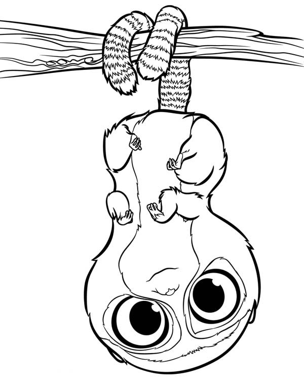 Bear Pear Croods Coloring Page