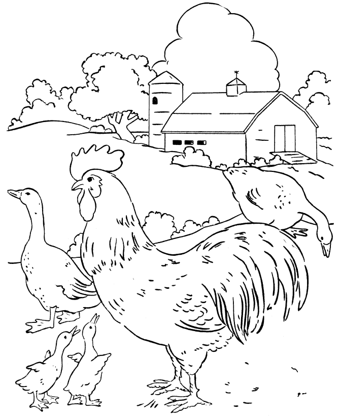 Farm Animals And Barn Coloring Page