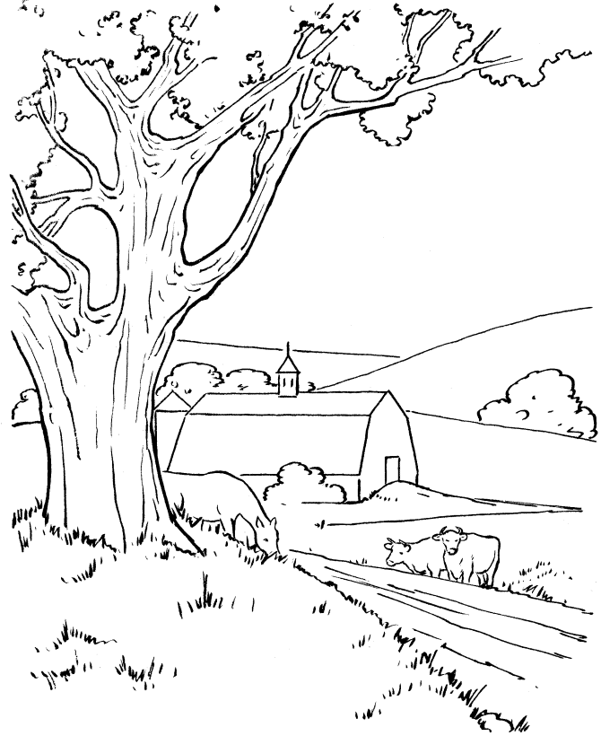 Farm Barn Scene Coloring Page