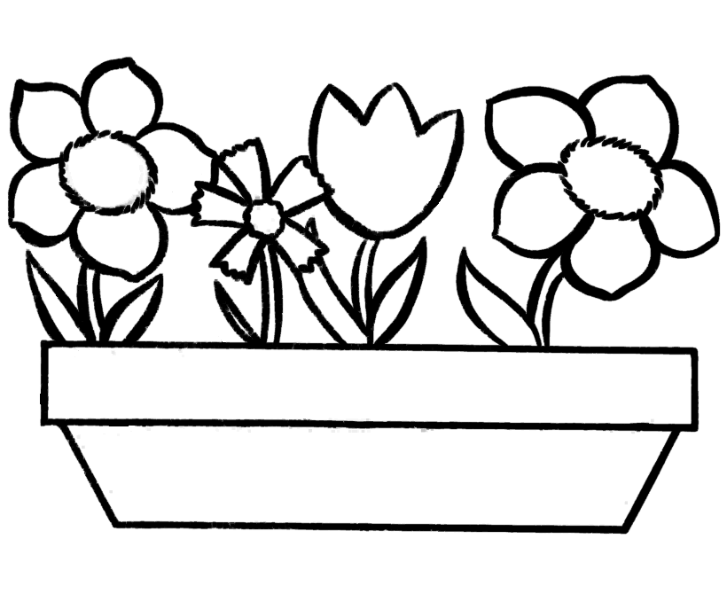 Flower Plants In Dish Coloring Page