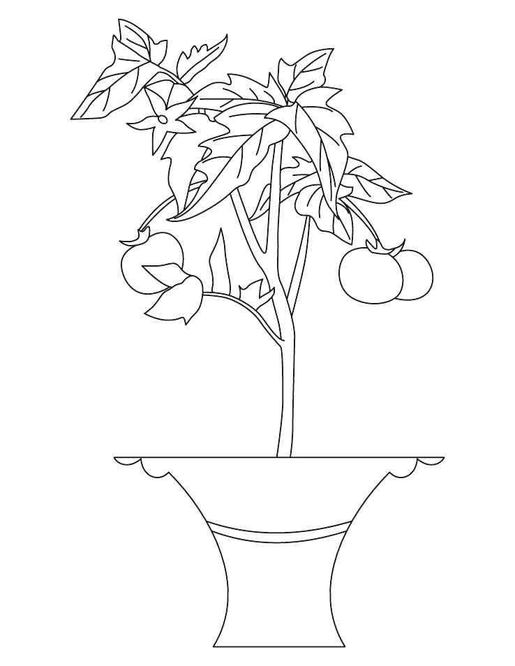 Fruit Tree Coloring Page
