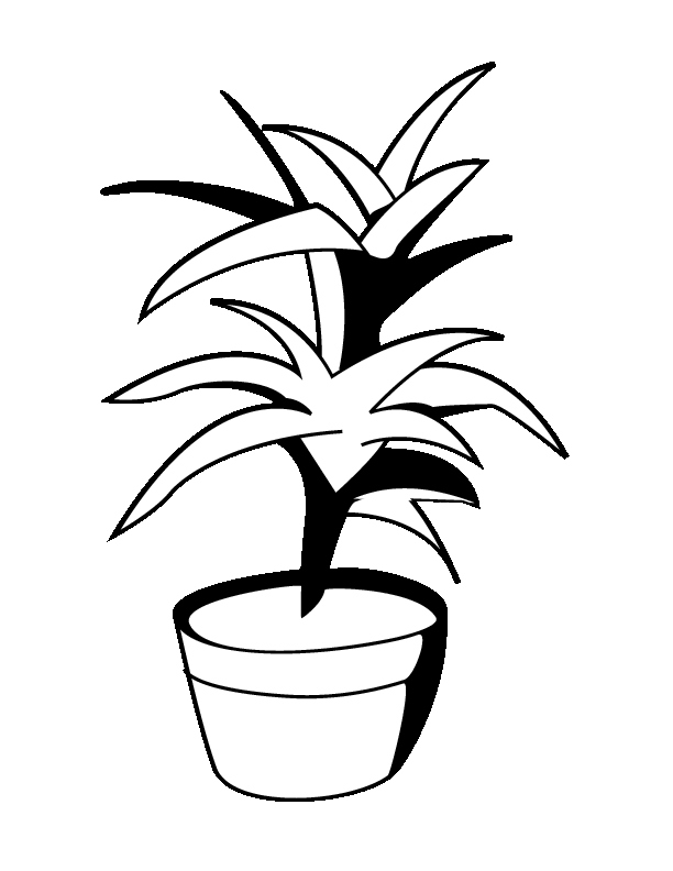 House Plant Coloring Page