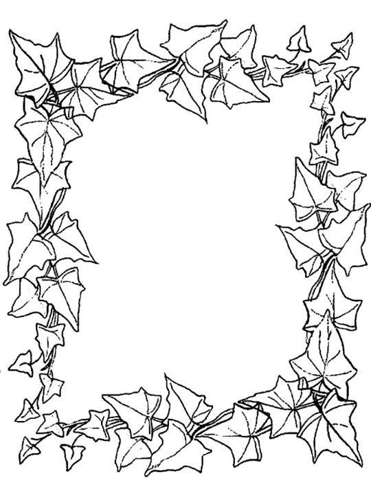 Ivy Frame Sheet