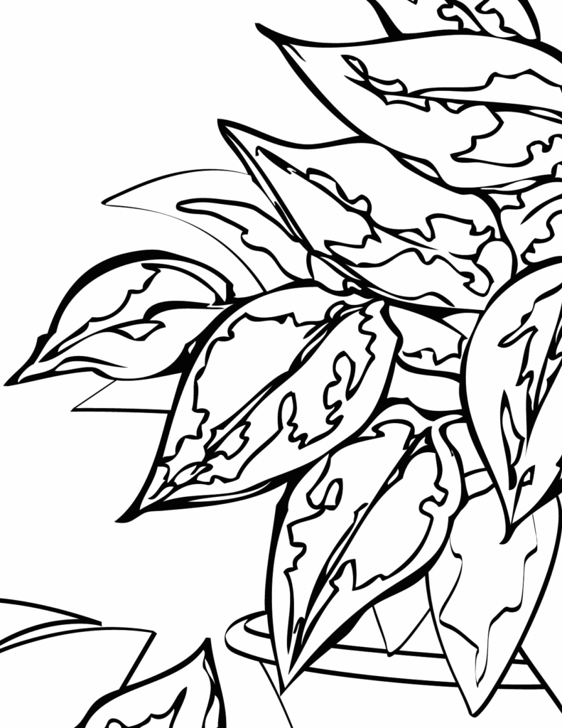 Philodendron House Plant Coloring Page