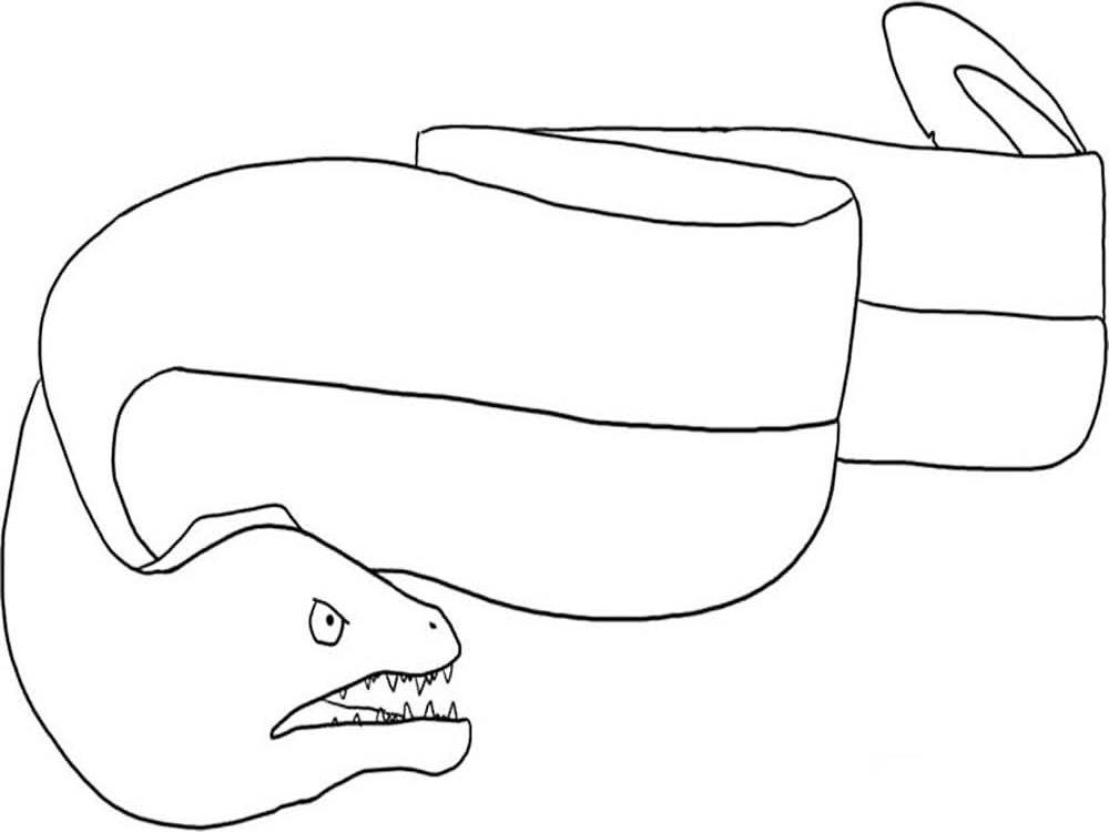 Angry Eel Coloring Page