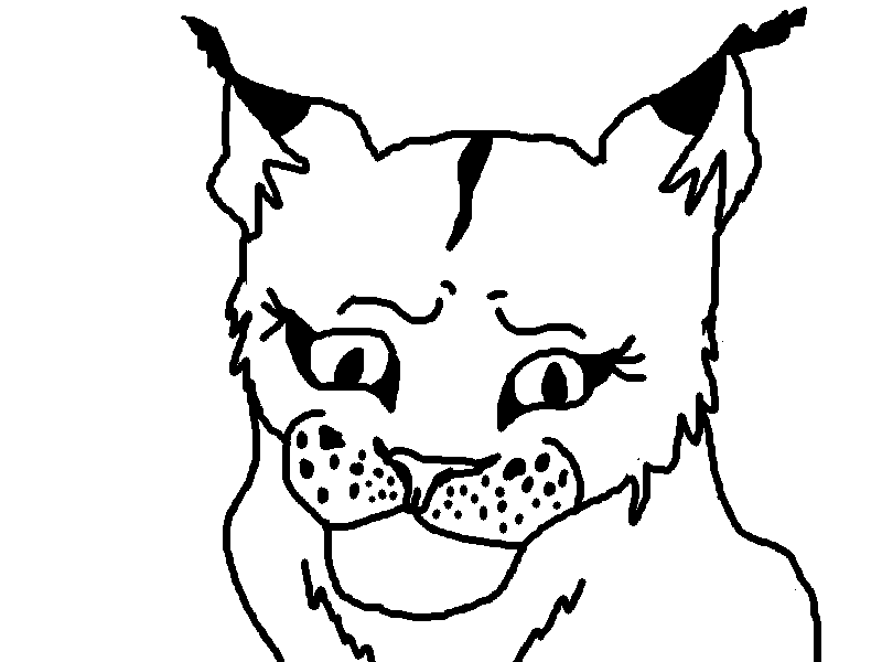 Bobcat Face Coloring Page