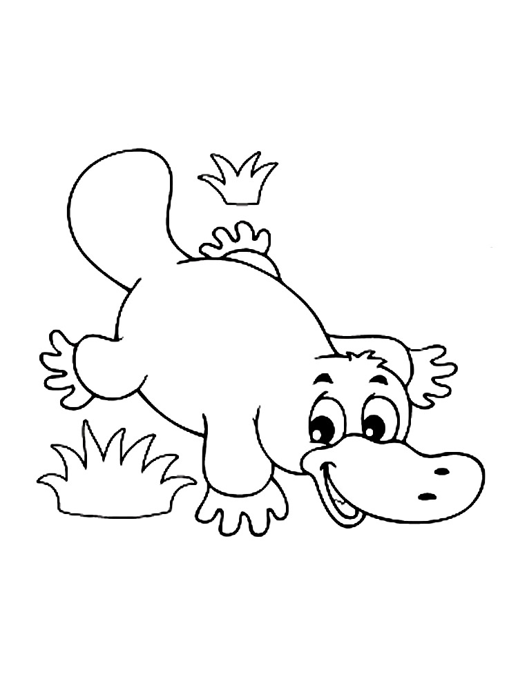 Cartoon Platypus Coloring Page