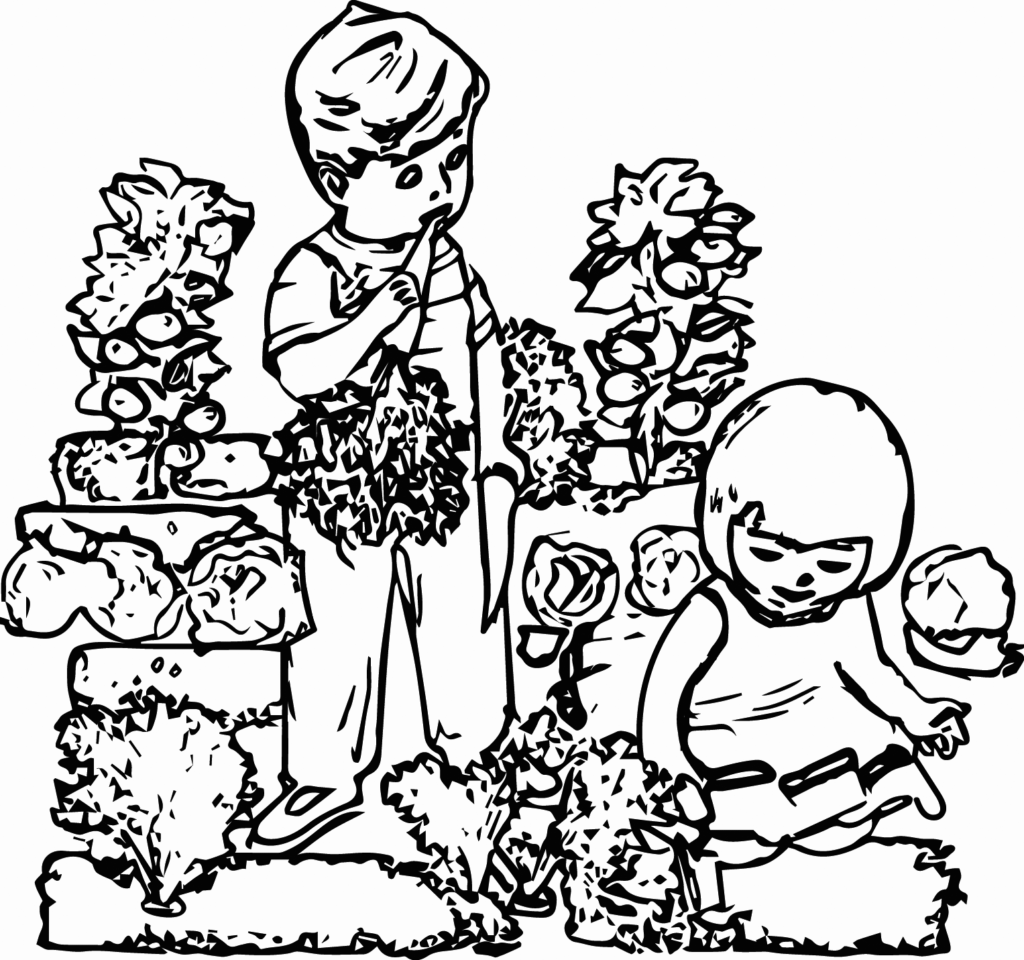 Children Harvesting Herbs In Garden Coloring Page