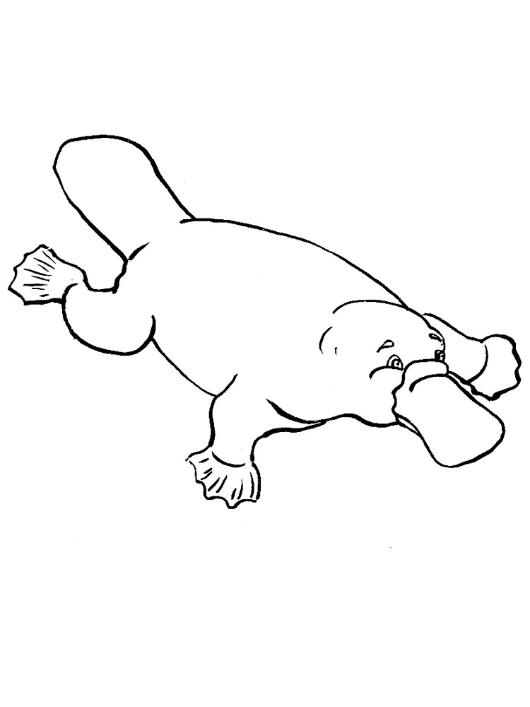 Crawling Platypus Coloring Page