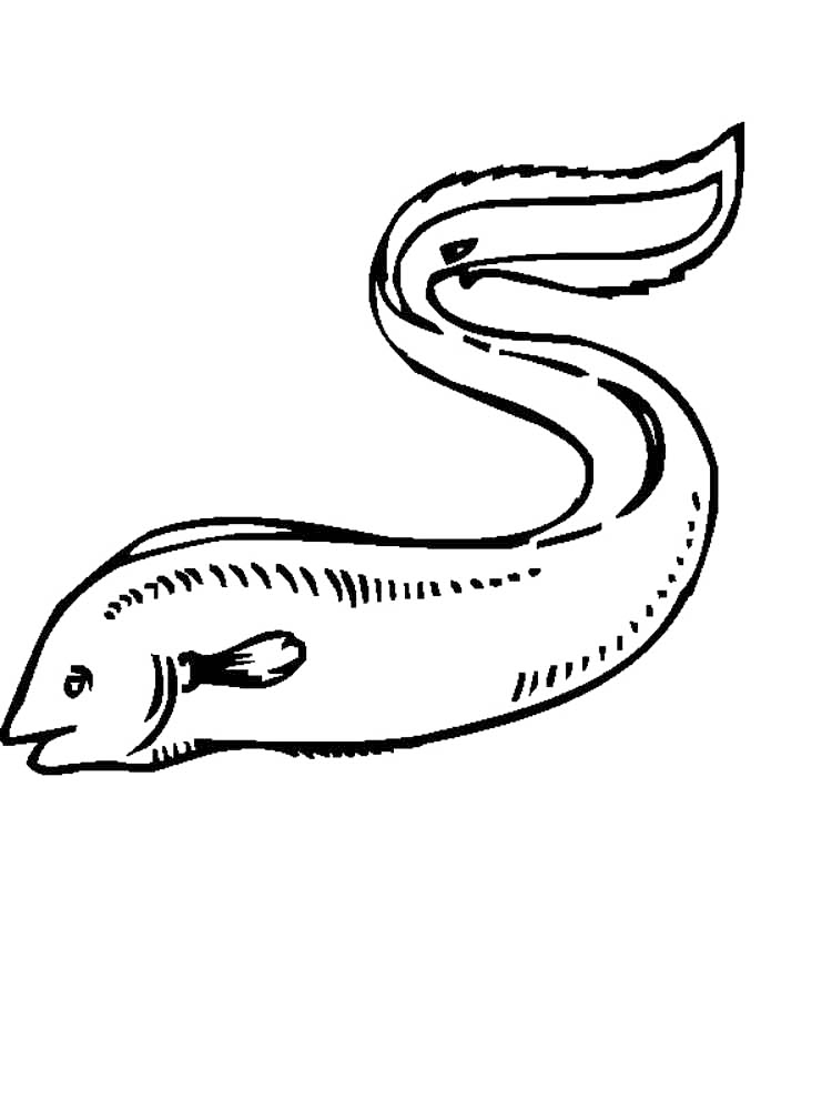 Cute Eel Coloring Page