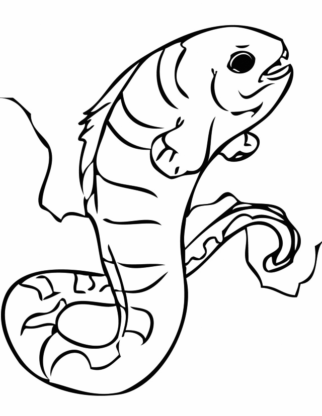 Cute Eel Coloring Pages