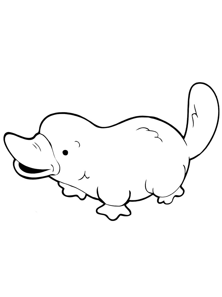 Cute Platypus Coloring Page