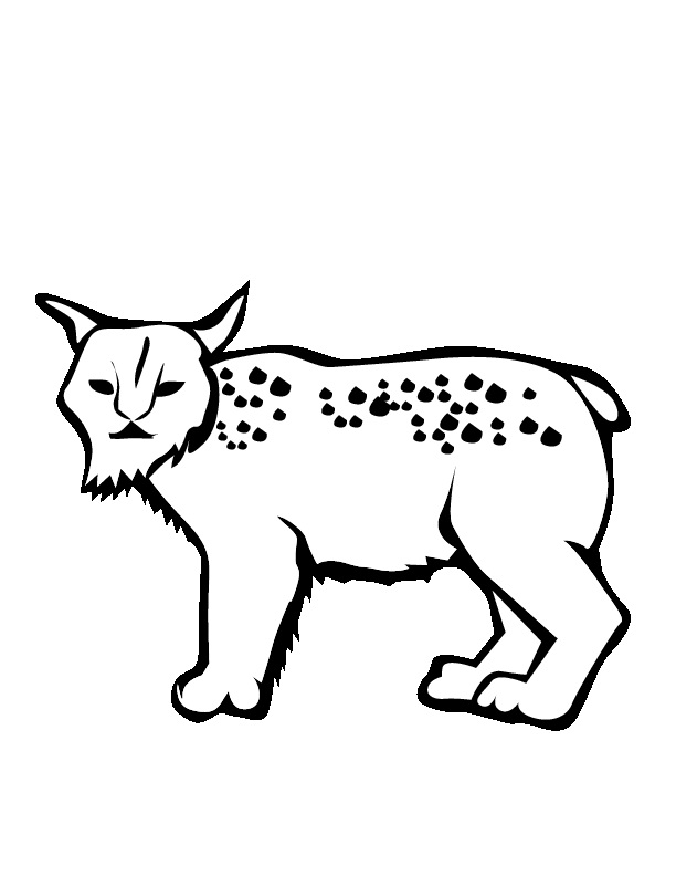 Easy Bobcat Coloring Page