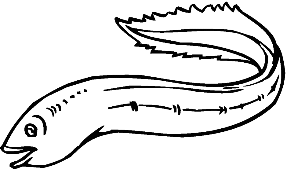 Eel Coloring Page