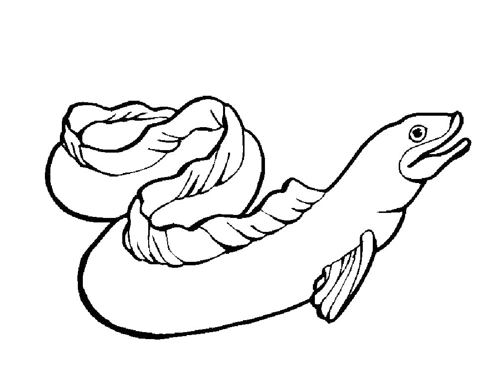 Eel Coloring Page