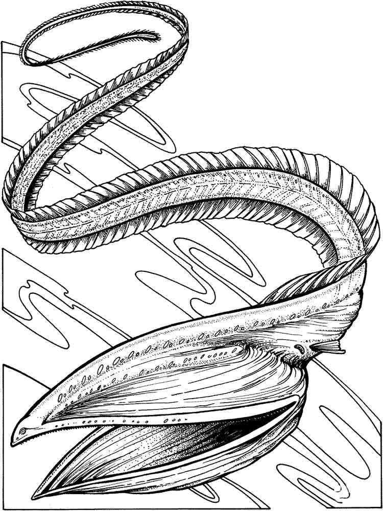 Eel Coloring Pages