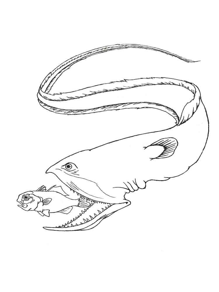 Eel Eating Coloring Page