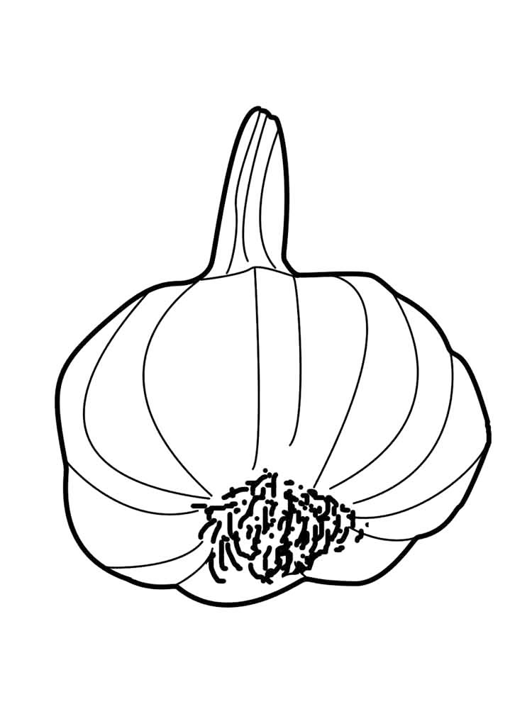 Garlic Bulb Herbs Coloring Pages