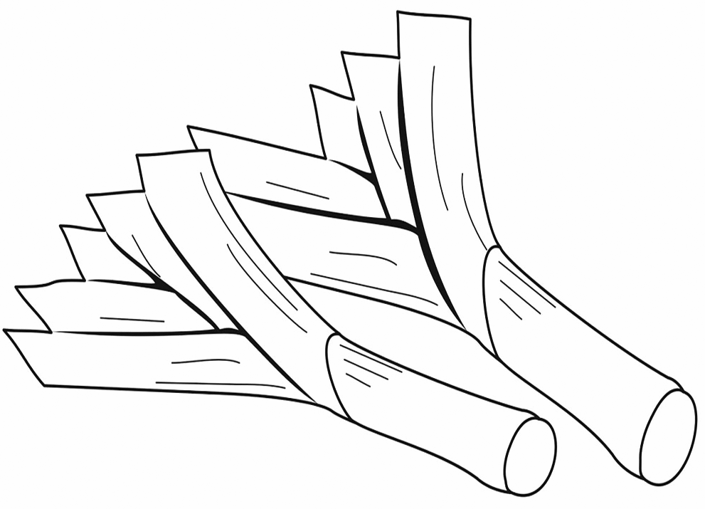 Leek Coloring Page