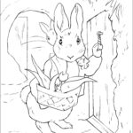 Peter Rabbit Knocking Coloring Page