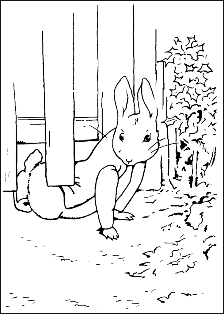 Peter Rabbit Under Fence Coloring Page