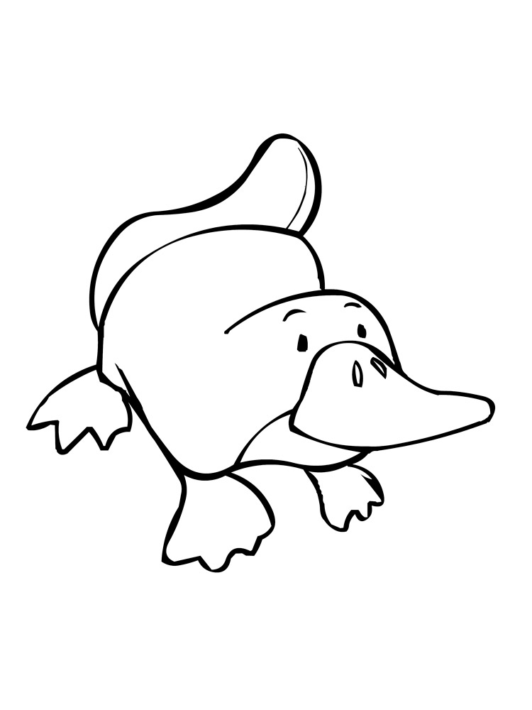 Platypus Coloring Page