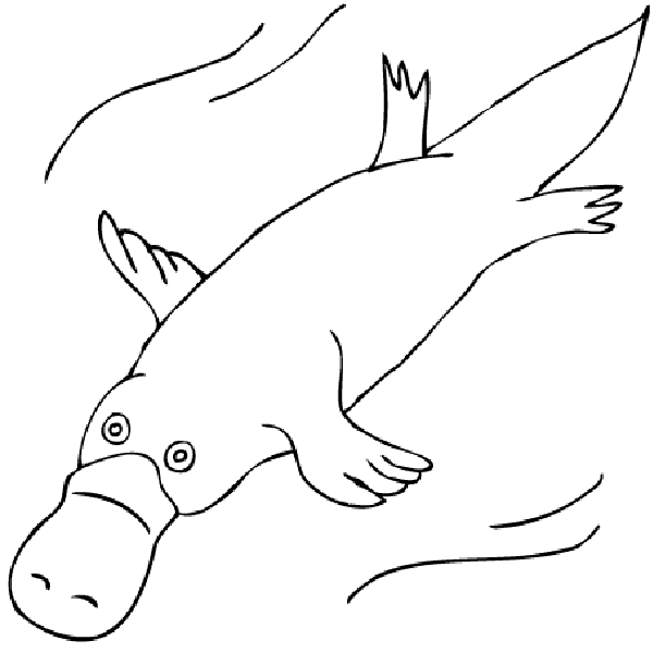 Platypus Coloring Pages