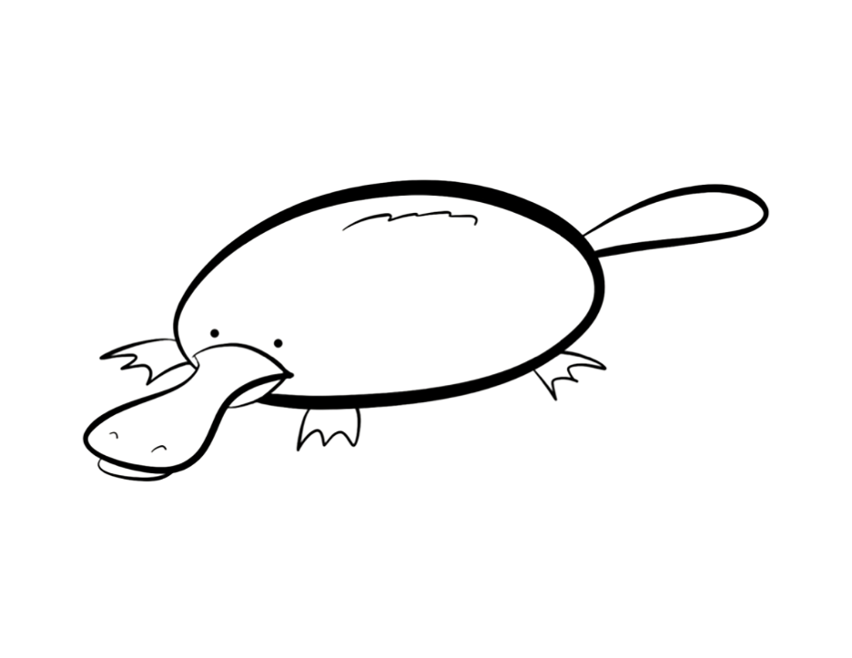 Platypus Drawing Coloring Page