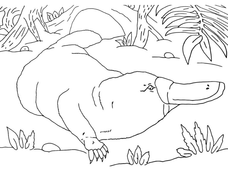 Platypus Coloring Pages Best Coloring Pages For Kids